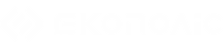light logo